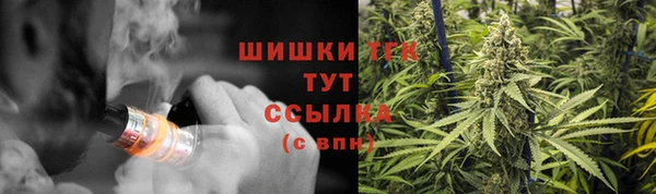 ГАЛЛЮЦИНОГЕННЫЕ ГРИБЫ Нягань